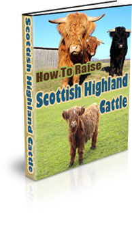The How To Raise Scottish Highland Cattle eBook