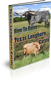 The How To Raise Texas Longhorn Cattle eBook