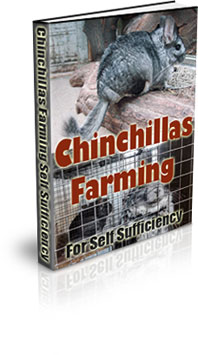 The Chinchillas Farming For Self Sufficiency eBook