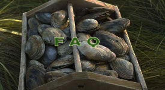 Raising Clams Frequently Asked Questions