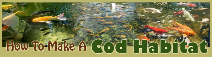 How To Make A Cod Habitat