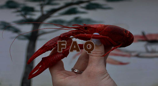 Raising Crawfish Frequently Asked Questions