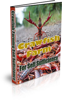 The Crawfish Farming For Self Sufficiency eBook