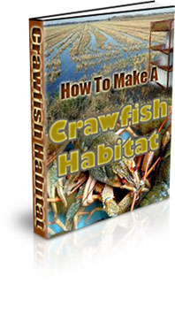 The How To Make A Crawfish Habitat eBook