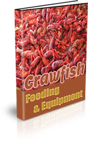 How To Farm Crawfish At Home