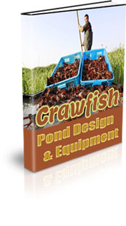 Small Scale Crayfish Farming For Food