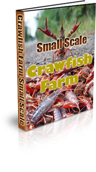 The Small Scale Crawfish Farming eBook