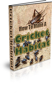 The How To Make A Cricket Habitat eBook