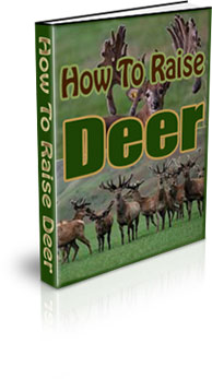 How To Raise Deer
