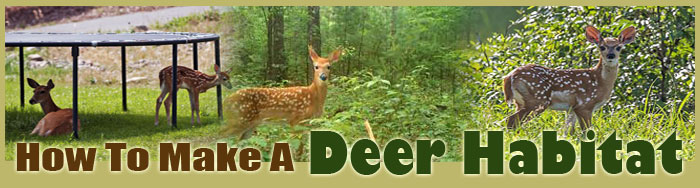 How To Make A Deer Habitat