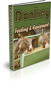 Donkey Farming Training