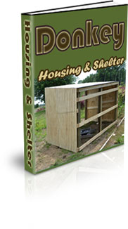 Where Do Donkeys Live On A Farm?