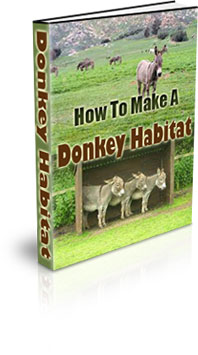 The How To Make A Donkey Habitat eBook