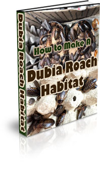 The How To Make A Dubia Roach Habitat eBook