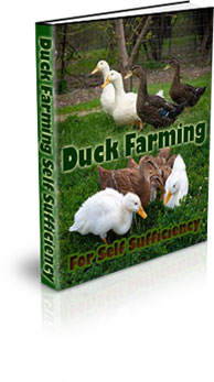 The Duck Farming For Self Sufficiency eBook
