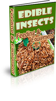 Raising Insects For Profit