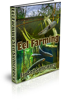 The Eel Farming For Self Sufficiency eBook