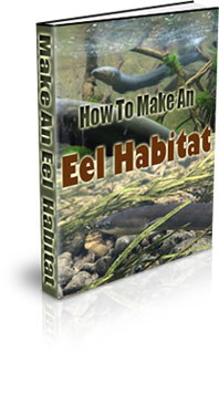 The How To Make An Eel Habitat eBook