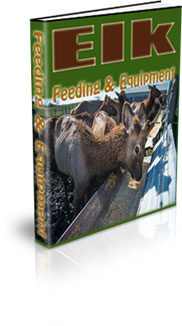 Raising Elk For Profits