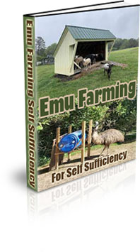 The Emu Farming For Self Sufficiency eBook