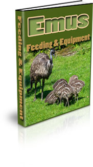 Emu Enclosure Requirements