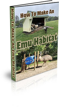 The How To Make An Emu Habitat eBook