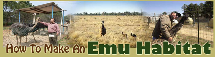 How To Make An Emu Habitat