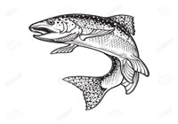 Raise Rainbow Trout