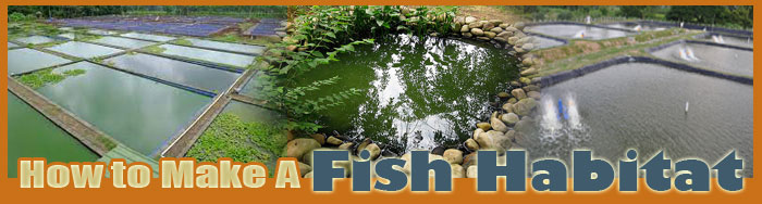How To Make A Fish Habitat