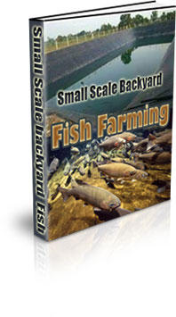 The Small Scale Backyard Fish Farming Ebook