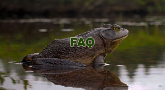Raising Frogs Frequently Asked Questions