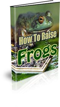 How To Raise Frogs
