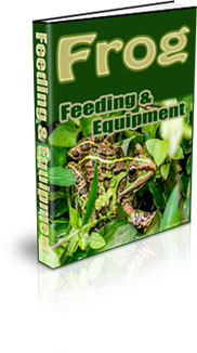 Frog Habitats At Home