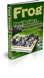 What To Put In A Frog Habitat