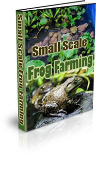 The Small Scale Frogs Farming eBook