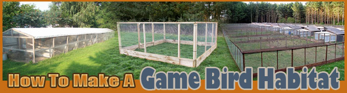 How To Make A Game Bird Habitat