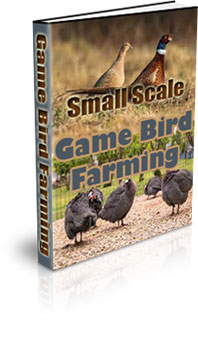 The Small Scale Game Bird Farming Ebook