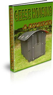 How To Build A Home For Geese