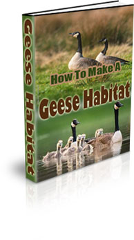The How To Make A Geese Habitat eBook