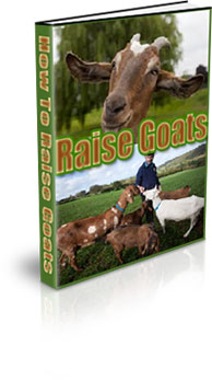 How To Raise Goats