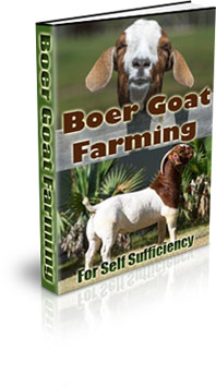 The Boer Goat Farming For Self Sufficiency eBook