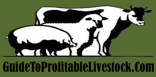 Profitable Boer Goats