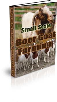 The Small Scale Boer Goat Farming eBook