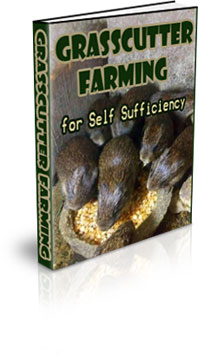 The Grasscutter Farming for Self Sufficiency eBook