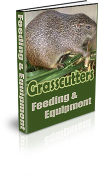 Keeping Grasscutters In Your Backyard