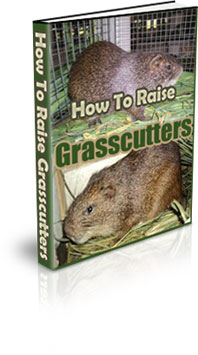 The How to Make a Grasscutter Habitat eBook