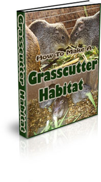 The How to Make a Grasscutter Habitat eBook