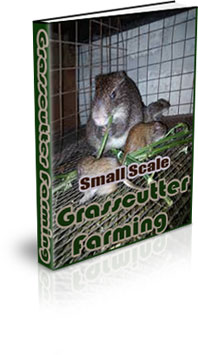 The Small Scale Grasscutter Farming eBook