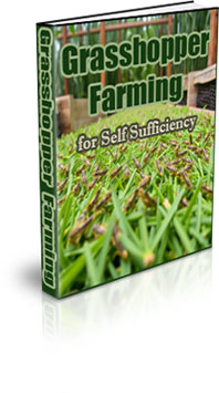 The Grasshopper Farming for Self Sufficiency eBook