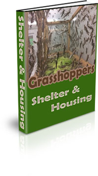Grasshopper Farming Profit